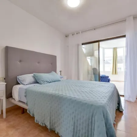 Aster * Calpe