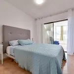 Aster * Calpe